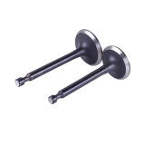 Клапаны TT AGRO MOTO на бензиновый двигатель P70F