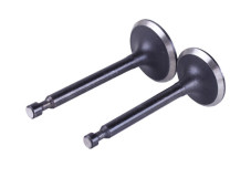 Клапаны TT AGRO MOTO на бензиновый двигатель P70F