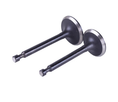 Клапаны TT AGRO MOTO на бензиновый двигатель P70F