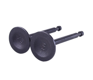Клапаны TT AGRO MOTO на бензиновый двигатель P70F