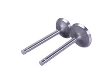 Клапани, к-т 2 шт. - 173D YBX