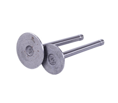 Клапани, к-т 2 шт. - 173D YBX