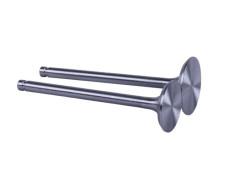 Клапани L-120 мм, к-т 2 шт. - Zubr - 195N YBX