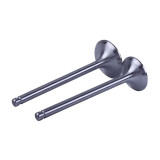 Клапаны, L-120 мм, к-т 2 шт. - Zubr - 195N YBX