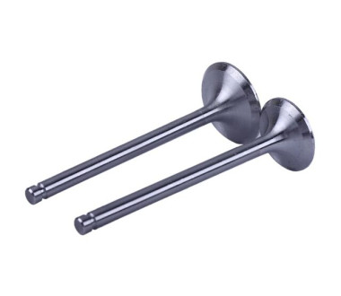 Клапаны, L-120 мм, к-т 2 шт. - Zubr - 195N YBX