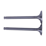 Клапаны, L-120 мм, к-т 2 шт. - Zubr - 195N YBX