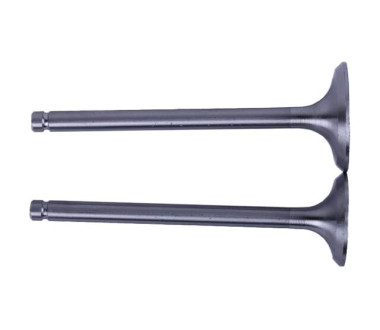 Клапаны, L-120 мм, к-т 2 шт. - Zubr - 195N YBX