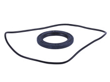 Сальник + ущільнювач пластини зчеплення - Дельта/Альфа YBX