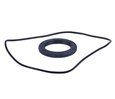 Сальник + ущільнювач пластини зчеплення - Дельта/Альфа YBX