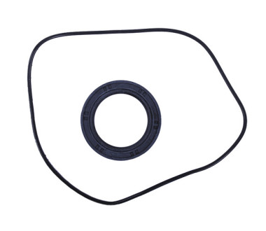 Сальник + ущільнювач пластини зчеплення - Дельта/Альфа YBX