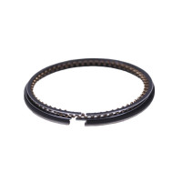 Кольца 52,30 мм STD, к-т на 1 поршень - 110СС - Актив/Дельта/Альфа