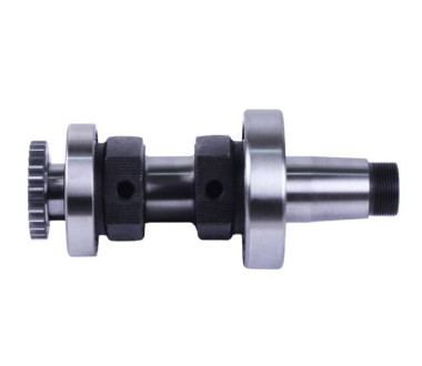 Коленвал в сборе + шестерня - ZUBR original - 195N YBX