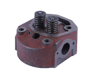 Головка циліндра в зборі (на мототрактор під форсунку діаметр 21 мм) – 192N – TTG