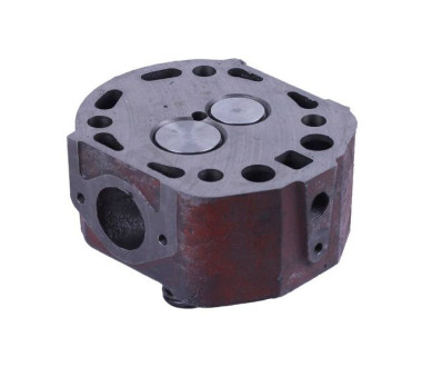 Головка циліндра в зборі (на мототрактор під форсунку діаметр 21 мм) – 192N – TTG