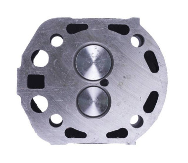 Головка циліндра в зборі (на мототрактор під форсунку діаметр 21 мм) – 192N – TTG