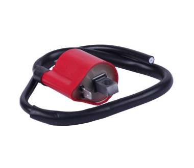 Катушка зажигания + подсвечник - СВ-125/150 - TTG