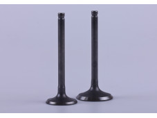 Клапани діаметр 20/23 мм, к-т: 2 шт. - Дельта/Альфа - Premium