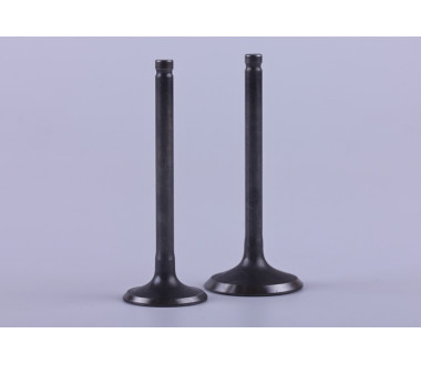 Клапани діаметр 20/23 мм, к-т: 2 шт. - Дельта/Альфа - Premium