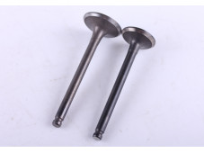 Клапани, к-т: 2 шт. - Актив/Дельта/Альфа - Premium