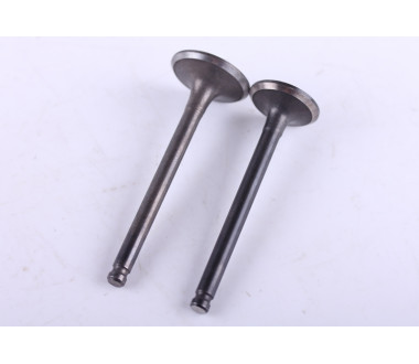 Клапани, к-т: 2 шт. - Актив/Дельта/Альфа - Premium