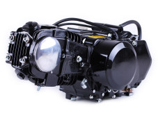 Двигун 110CC - Дельта/Альфа/Актив, механіка + карбюратор - без електростартеру, BLACK - TATA LUX