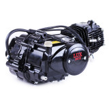 Двигун 110CC - Дельта/Альфа/Актив, механіка + карбюратор - без електростартеру, BLACK - TATA LUX