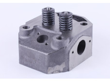 Головка циліндра у зборі (ZUBR original) - 195N - Premium