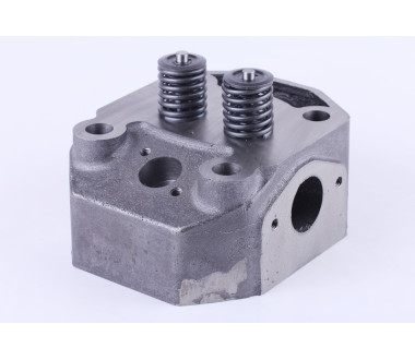 Головка циліндра у зборі (ZUBR original) - 195N - Premium