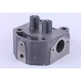 Головка циліндра у зборі (ZUBR original) - 195N - Premium