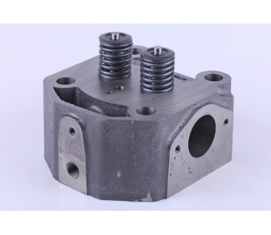 Головка циліндра у зборі (ZUBR original) - 195N - Premium