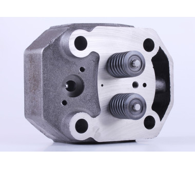 Головка циліндра у зборі (ZUBR original) - 195N - Premium