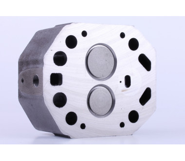 Головка циліндра у зборі (ZUBR original) - 195N - Premium