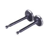 Клапаны, к-т: 2 шт. - P70F