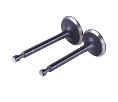 Клапаны, к-т: 2 шт. - P70F