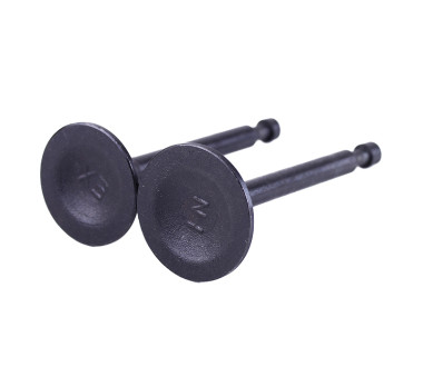 Клапаны, к-т: 2 шт. - P70F