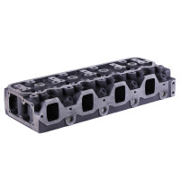 Головка блоку циліндрів (після 2010р) JD495