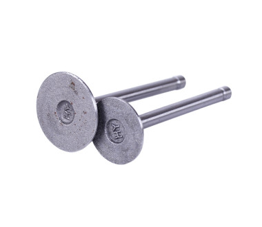 Клапани, к-т 2 шт. - 173D