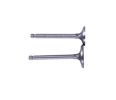 Клапани, к-т 2 шт. - 173D