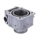 Цилиндр TT AGRO MOTO на бензиновый двигатель ZS174MN-5 CB300