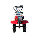 Мотоблок TT-900-ZX(3+1) (ремінь) колесо 4,00-10, двигун 170F (7 к.с.) (з верхнім фільтром) – бензин