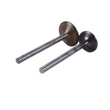 Клапани TTG на трактор Shifeng 240 з дизельним двигуном SF-138-2, к-т 2 шт.