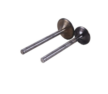 Клапани TTG на трактор Shifeng 240 з дизельним двигуном SF-138-2, к-т 2 шт.