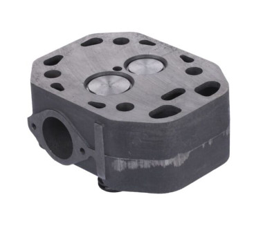 Головка цилиндра в сборе ZH1105N YBX