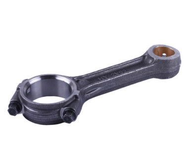 Шатун у зборі - 2V192F