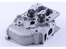 Головка блоку в зборі Zubr (під 3 болти) - 186F - GN 5 KW