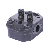 Головка циліндра в зборі ZUBR (на мототрактор під форсунку діаметр 21 мм) - 195N - TTG