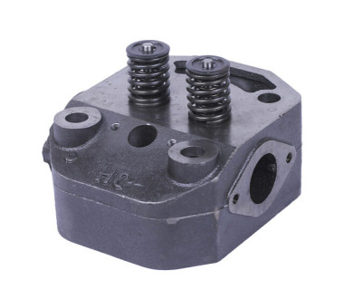 Головка циліндра в зборі ZUBR (на мототрактор під форсунку діаметр 21 мм) - 195N - TTG