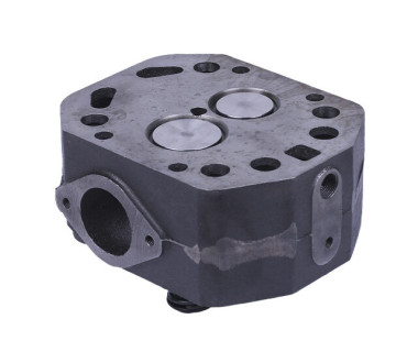 Головка циліндра в зборі ZUBR (на мототрактор під форсунку діаметр 21 мм) - 195N - TTG