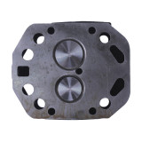 Головка циліндра в зборі ZUBR (на мототрактор під форсунку діаметр 21 мм) - 195N - TTG