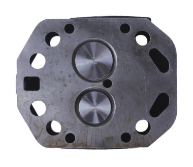 Головка циліндра в зборі ZUBR (на мототрактор під форсунку діаметр 21 мм) - 195N - TTG